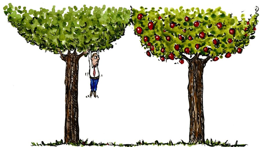 illustration of a guy climbing the wrong tree