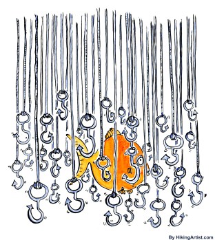 Fish hiding among fish hooks