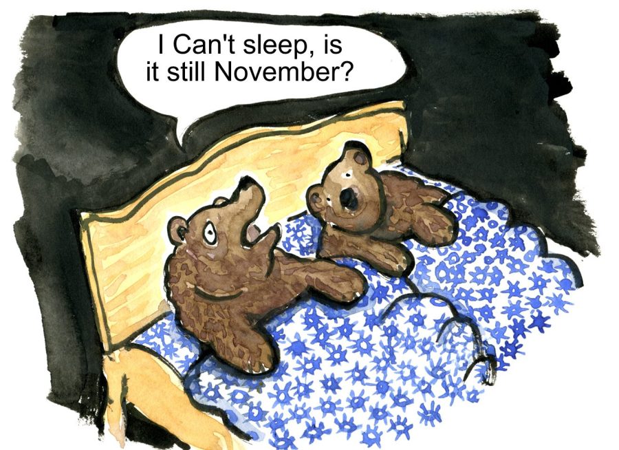 bear with insomnia