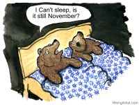 bear with insomnia