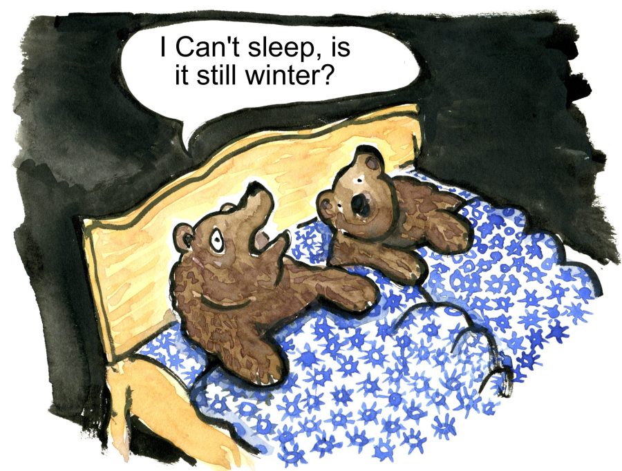Bear in bed waiting for spring cant sleep