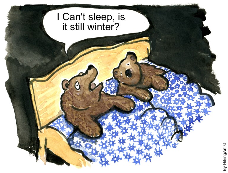 bear lying in the bed trying to hibernate