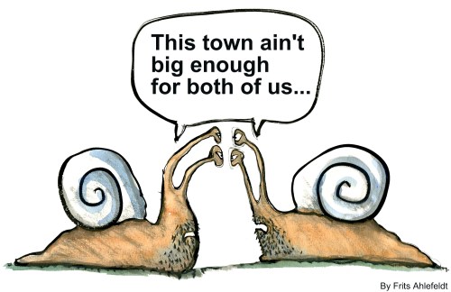 two snails meet "this town ain't big enough for both of us"