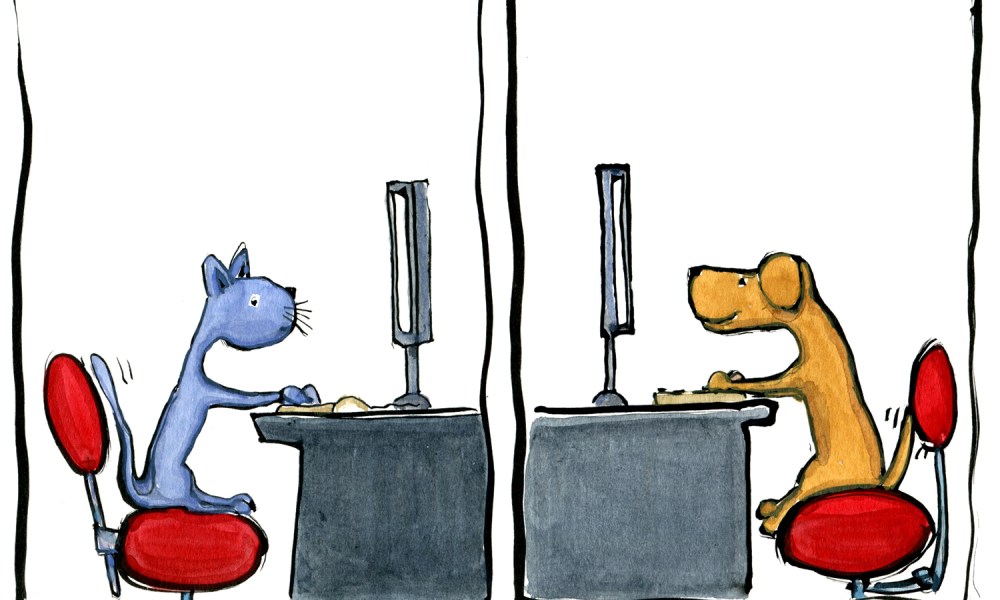 a cat and a dog in front of two flatscreens looking exited