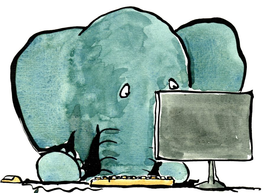 Elephant in front of computer