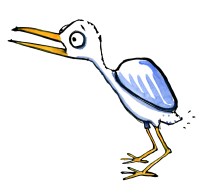 bird without its tail feathers