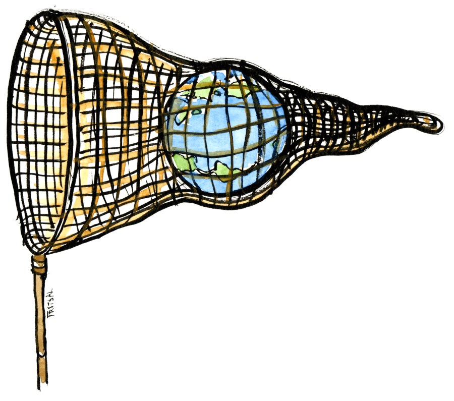 the internet caught up in a new web