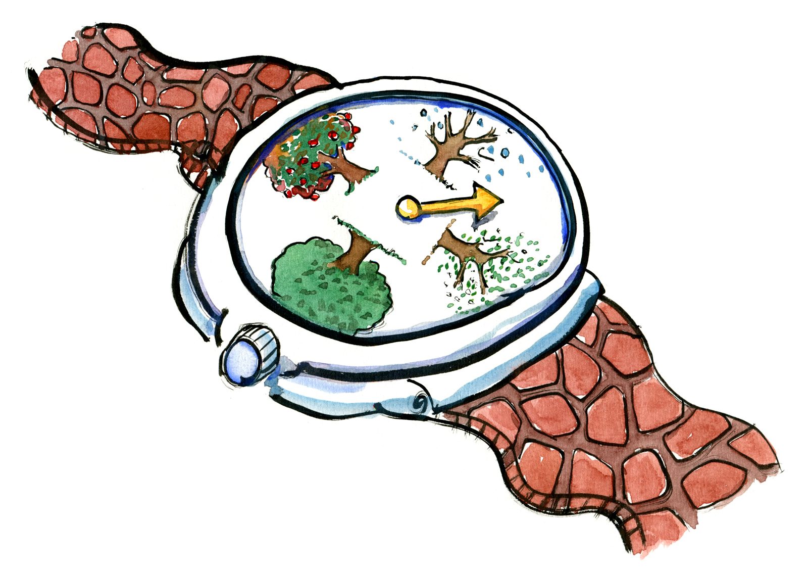 color drawing of a watch with the four seasons on it