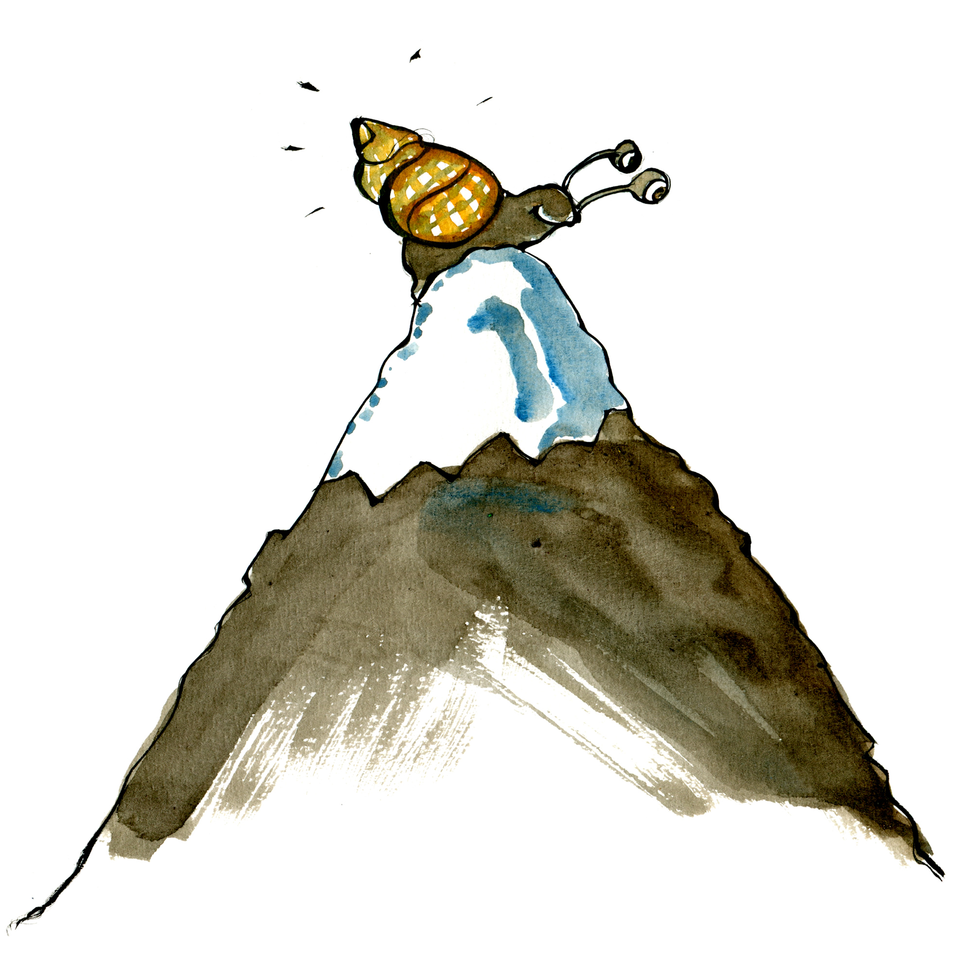Drawing of a snail on top of a mountain