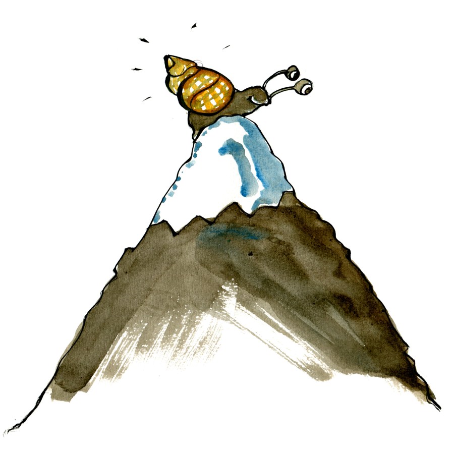 Drawing of a snail on top of a mountain