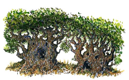 illustration of two trees