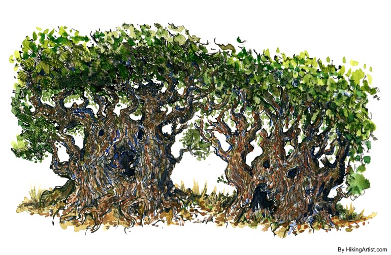 illustration of two trees