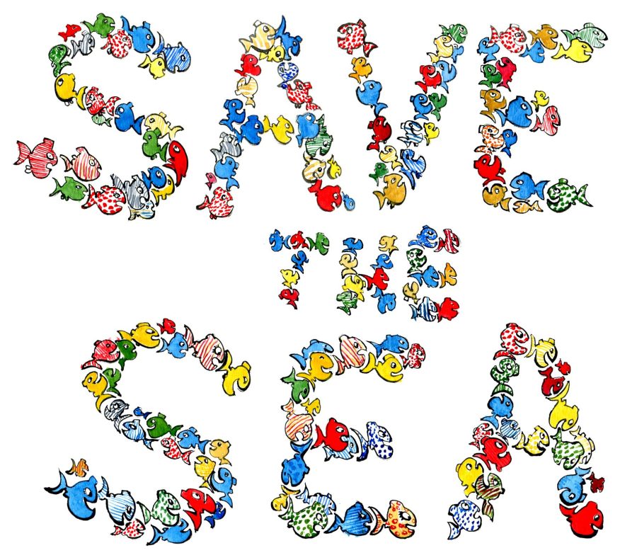 Drawing of a lot of small fishes swimming to save the Ocean