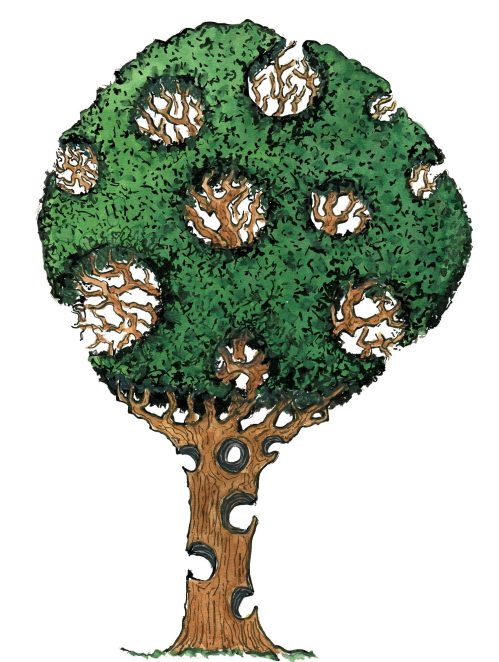 Drawing of the Tree of life