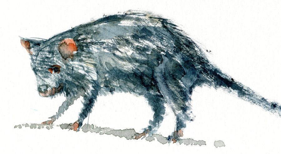 illustration by FritsAhlefeldt.com