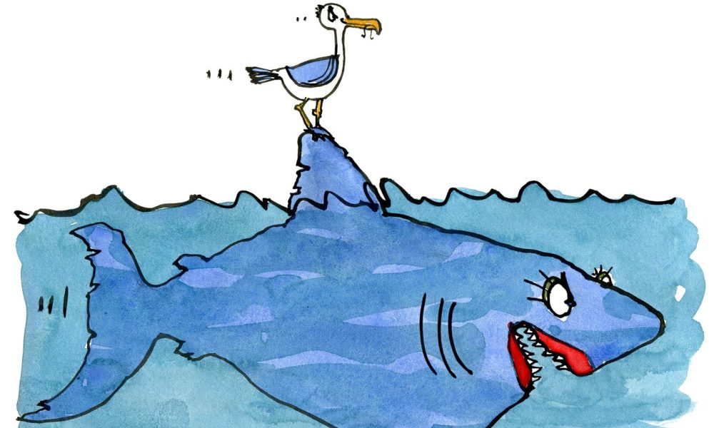 Shark and seagull on their way together