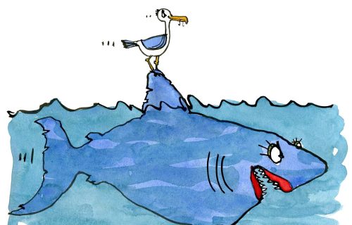 Shark and seagull on their way together