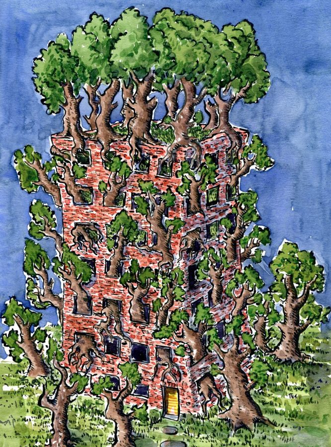 drawing of trees in a building