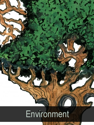 intro to environment and nature