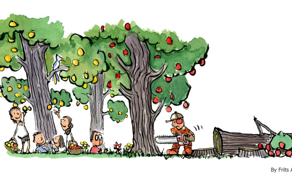 drawing of people picking fruit and a guy cutting down all the trees