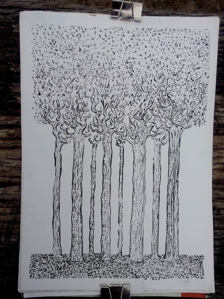 Ink drawing of some tall trees