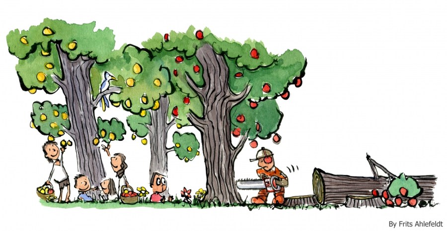 Man cutting down the trees other use for picking fruit illustration