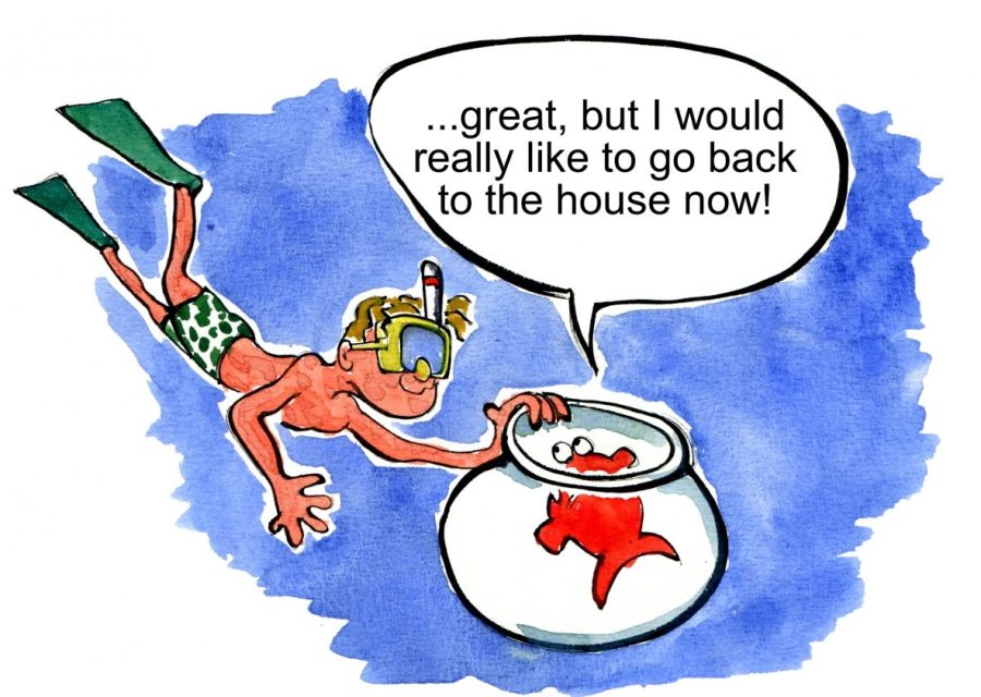 illustration of a Little fish sitting in its bowl, in a big ocean