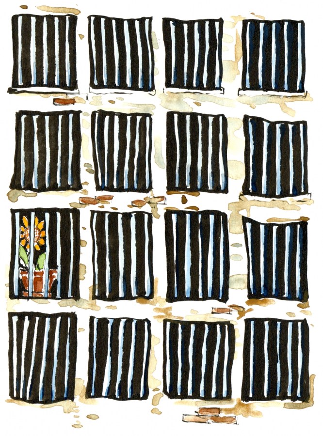 Drawing of a lot of fenced windows, one with a flower