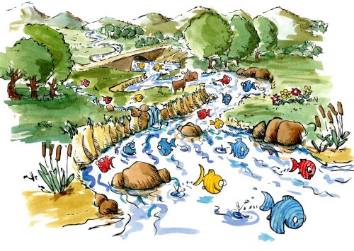 Drawing of fishes swimming happily in a river