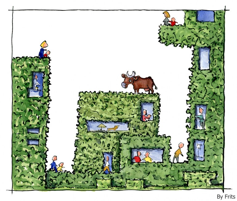 Green buildings with cow