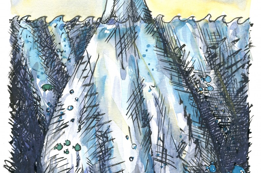 illustration of a penguin out on open sea, on an iceberg