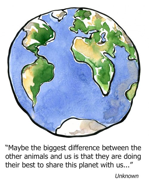 Drawing of earth with text wondering about the difference between humans and animals about how they try hard to share this planet with us