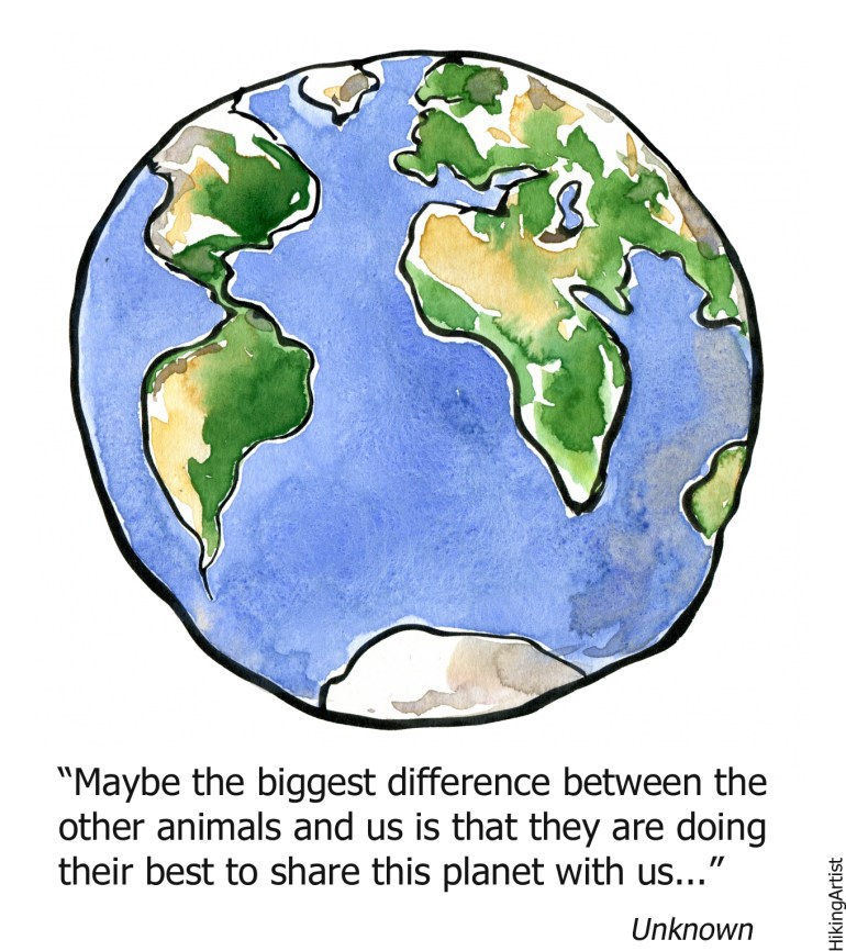 Drawing of earth with text wondering about the difference between humans and animals about how they try hard to share this planet with us