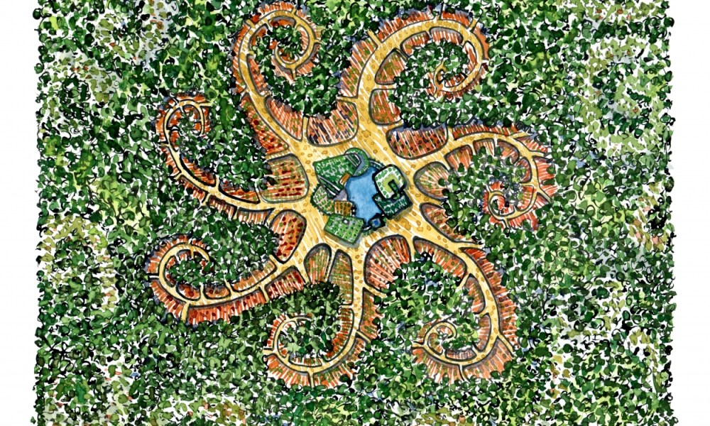 drawing of a starfish shaped forest farm