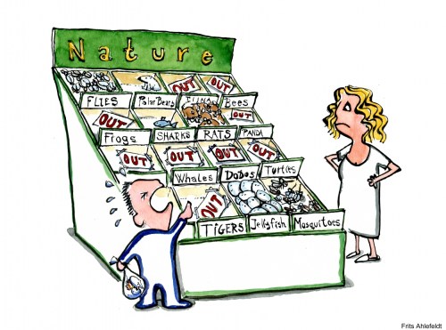 Kid by empty nature store