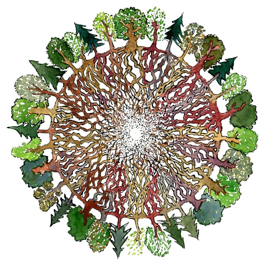 Drawing of a circle of trees with their roots meeting in the center