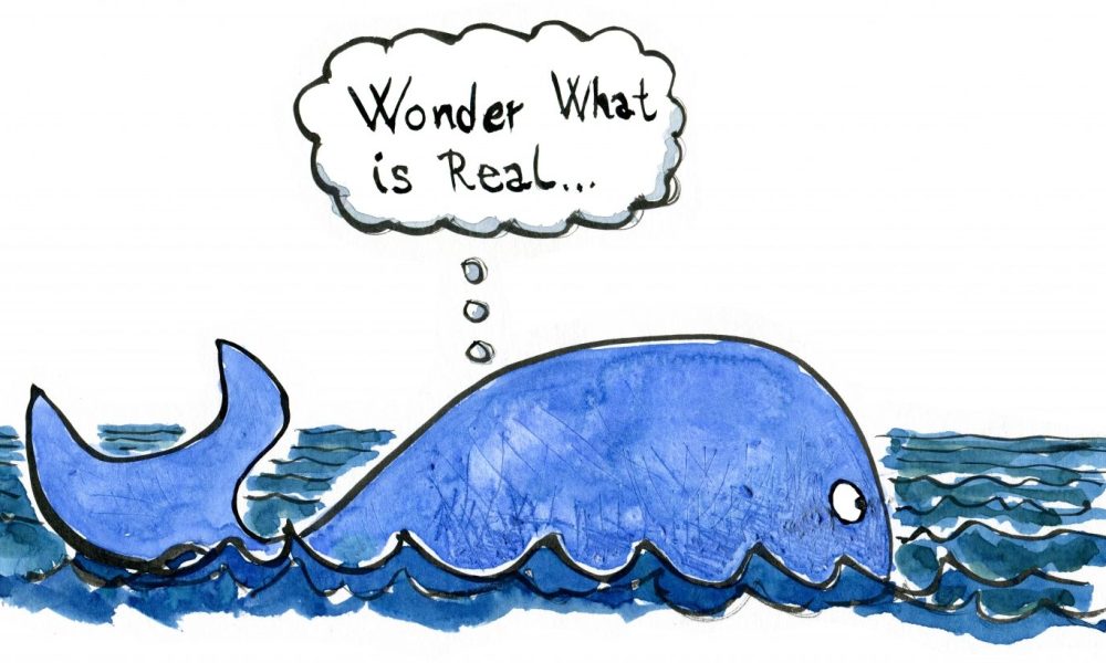 Drawing of Jonas thinking inside the whale