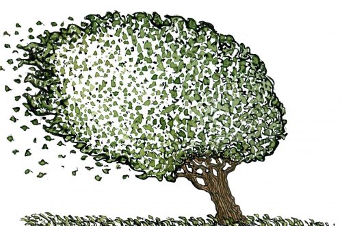 Drawing of a tree in the wind