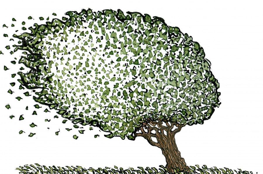 Drawing of a tree in the wind