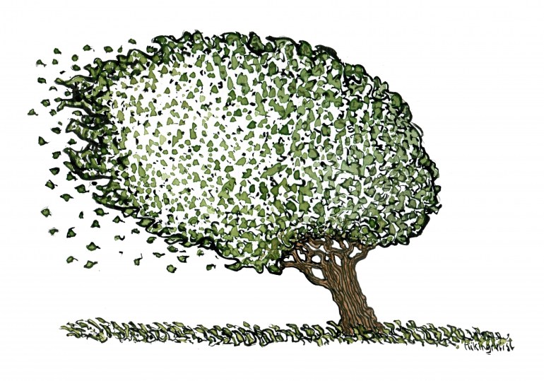 Drawing of a tree in the wind
