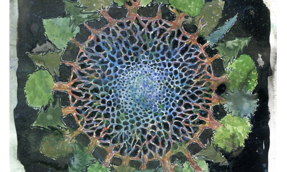 trees connecting roots in water