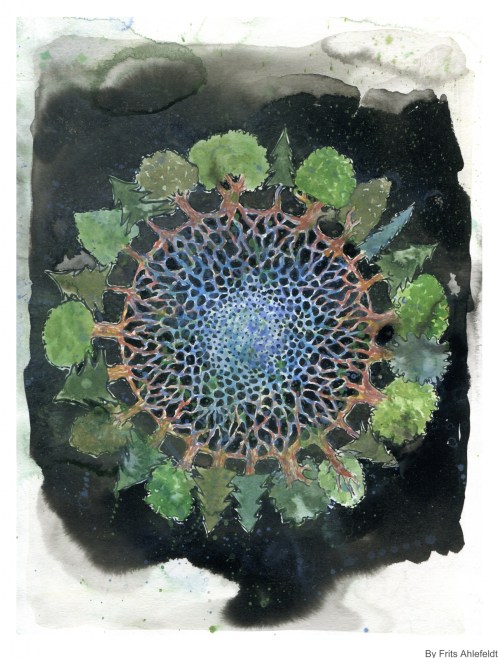 trees connecting roots in water