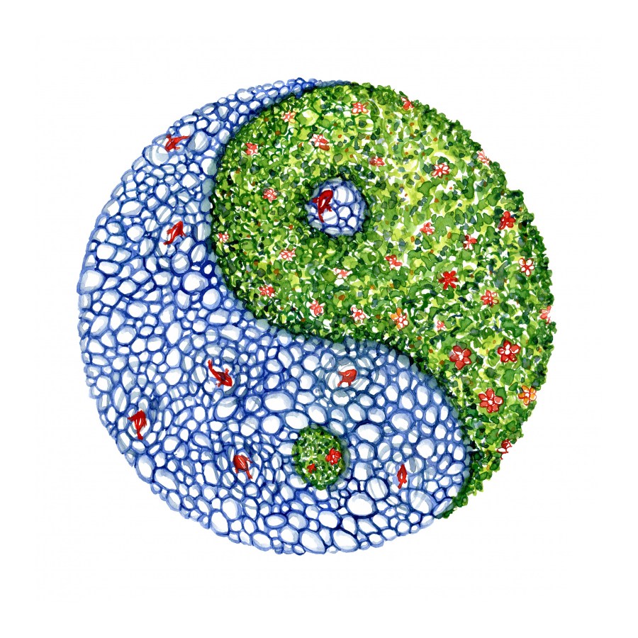 Storytelling card illustration