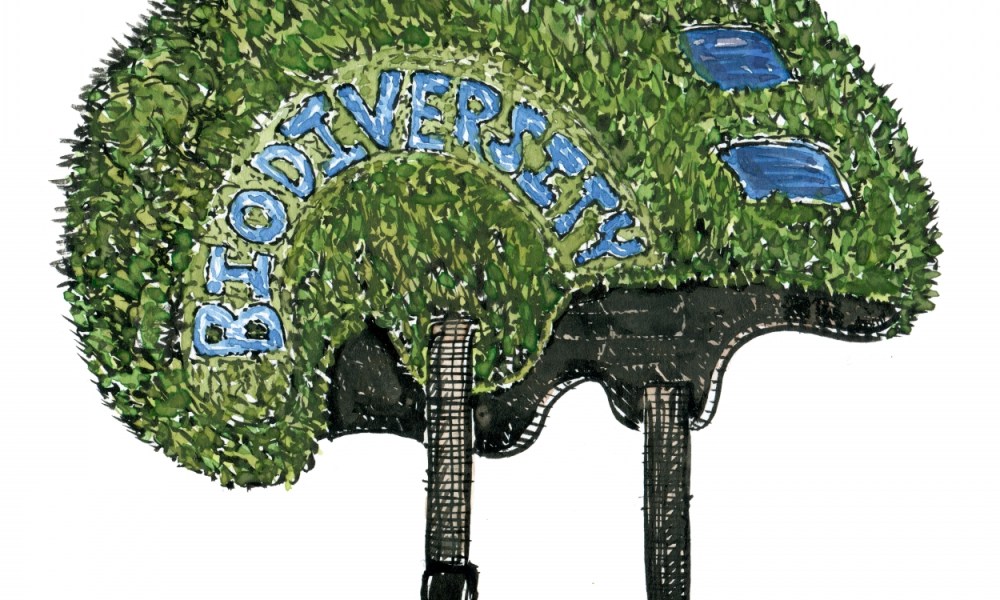 illustration by Frits ahlefeldt of a green nature helmet with biodiversity written on the side