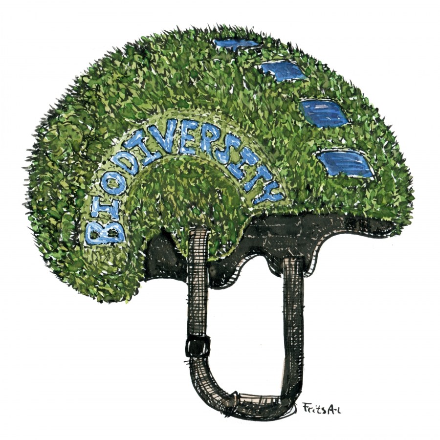 illustration by Frits ahlefeldt of a green nature helmet with biodiversity written on the side
