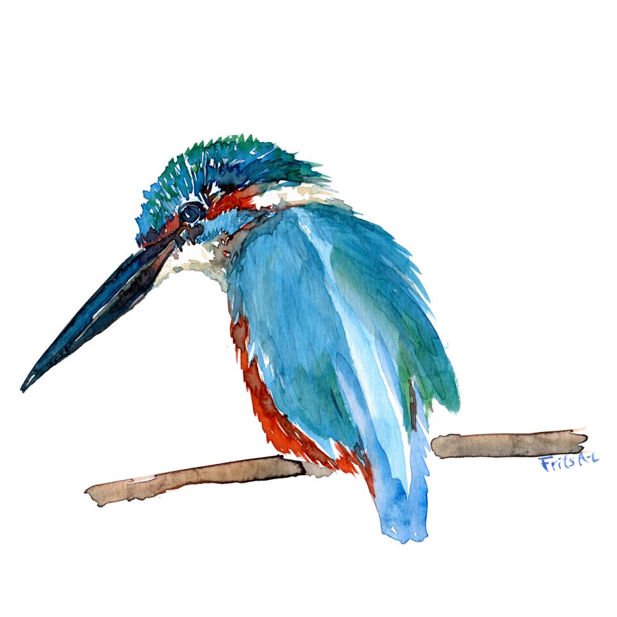 Kingfisher bird watercolour
