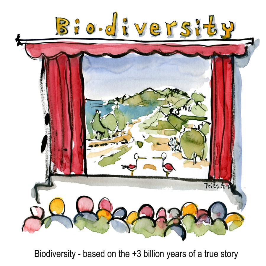 Drawing of a biodiversity theater