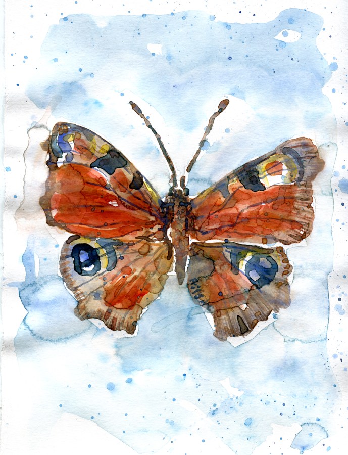 Watercolour - akvarel af Frits Ahlefeldt - sommerfugl