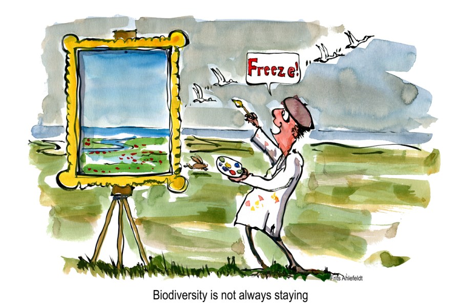 Artist saying freeze to flying birds in a landscape painting