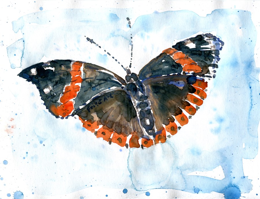 Watercolour - akvarel af Frits Ahlefeldt - sommerfugl